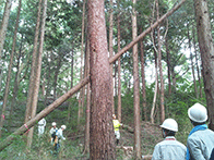 森林整備作業体験