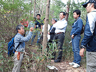 山歩き・自然観察