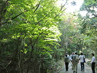 山歩き・自然観察