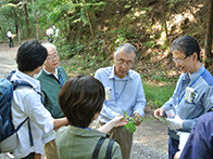 山歩き・自然観察