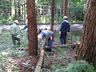 森林整備作業体験