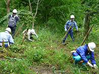 森林整備作業体験