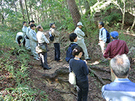 山歩き・自然観察