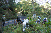 作業体験・除伐作業