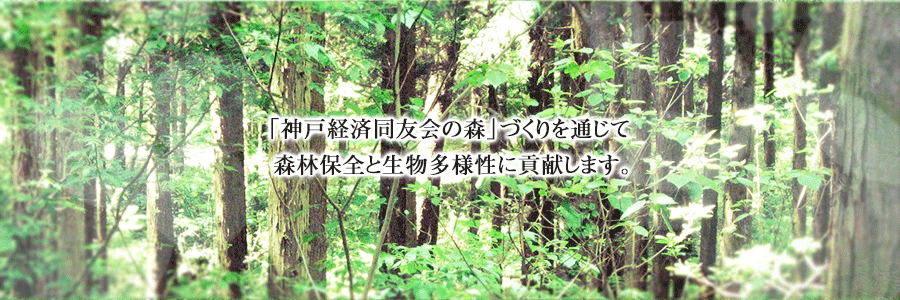 「神戸経済同友会の森」づくりを通じて森林保全と生物多様性に貢献します。